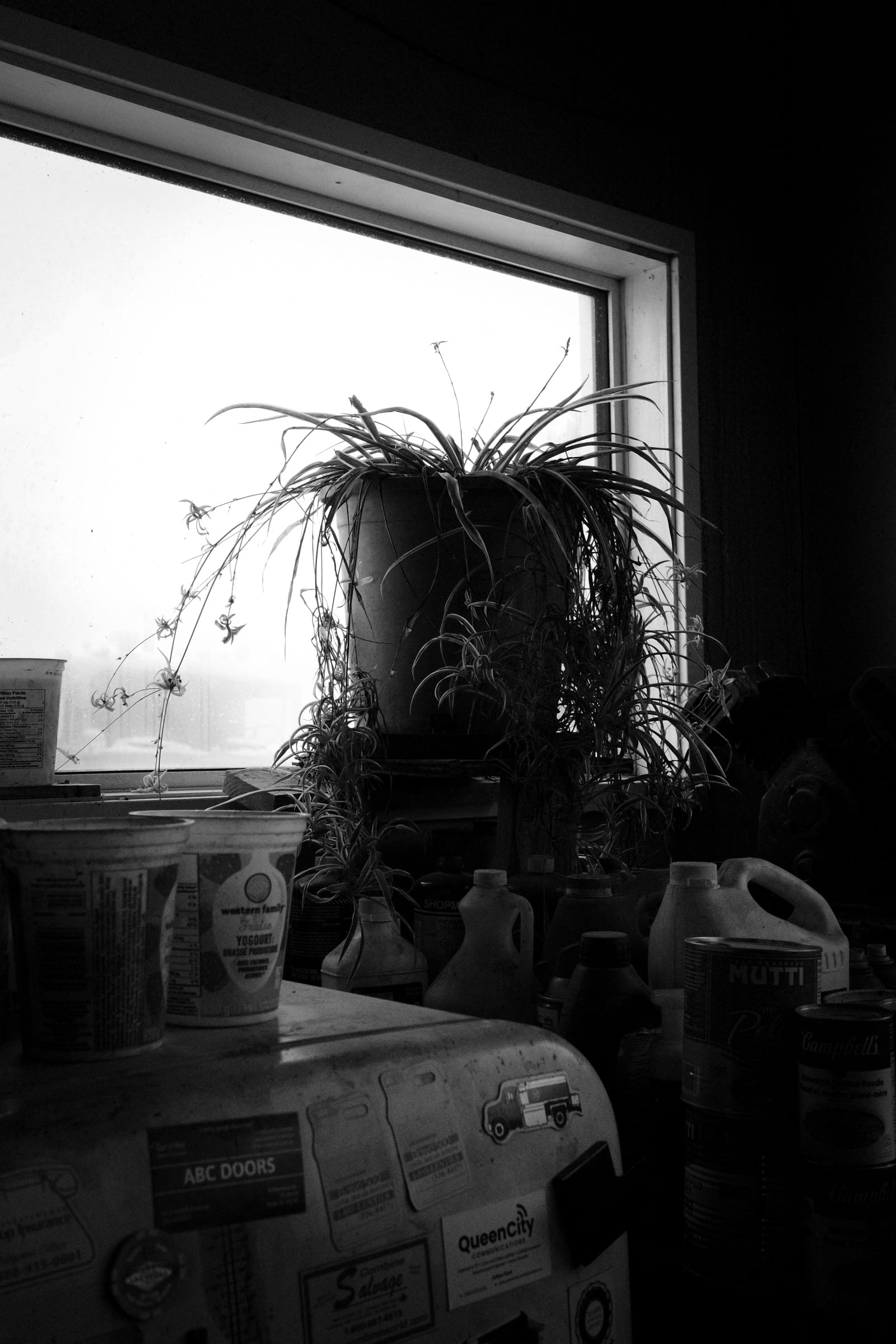 Field Notes (Series)