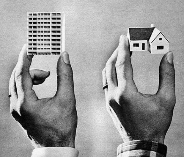 Tender Prospects, detail 31