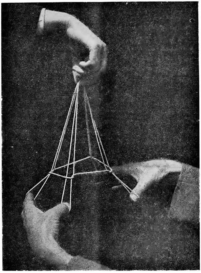 Tender Prospects, detail 6