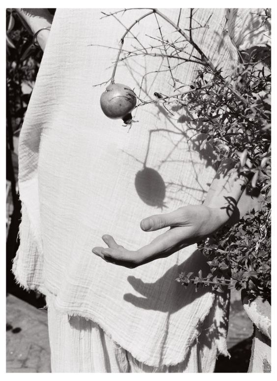 Tender Prospects, detail 43