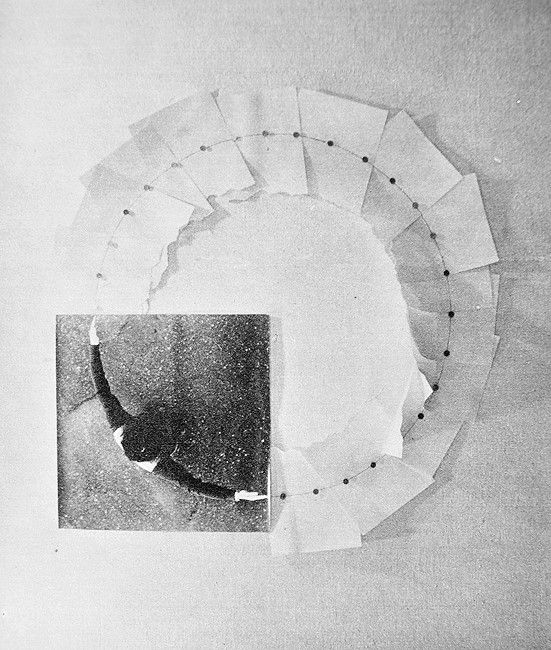 Tender Prospects, detail 41